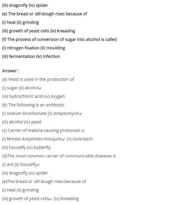 NCERT Solutions for class 8 Science Chapter 2 Microorganisms Friend and Foe